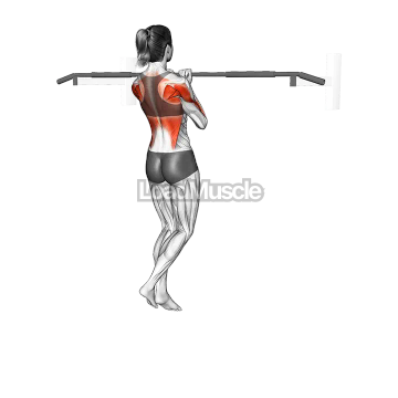 Isometric Hold Close Grip Chin-up