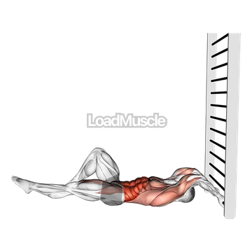 Lying Floor Single Leg Negative Dragon Flag