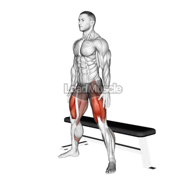 Wide Bench Air Squat