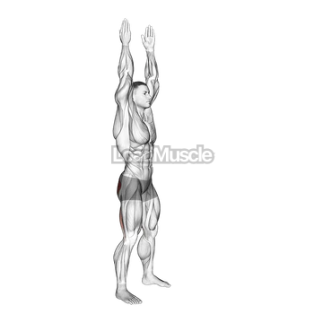 Long Lever Standing Hip Extension