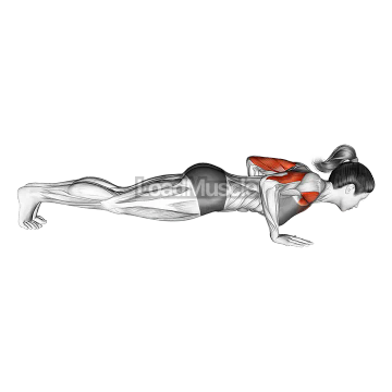 Isometric Hold Push-up