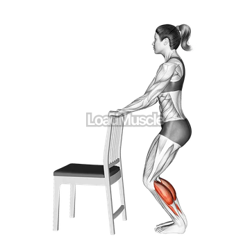 Standing Bent Knee Calf Raise with a Chair Support