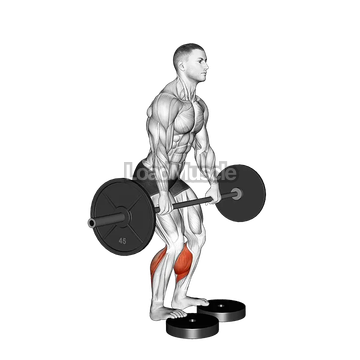 Barbell Standing Bent Knee Calf Raise from Deficit