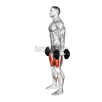 Dumbbell Romanian Deadlift to Squat