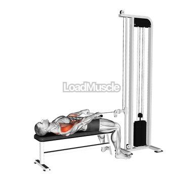 Cable Lying Upright Row (SZ bar)