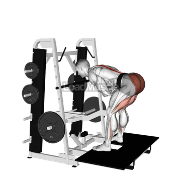 Lever Belt Romanian Deadlift