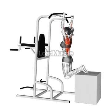 Box Assisted Pull-up