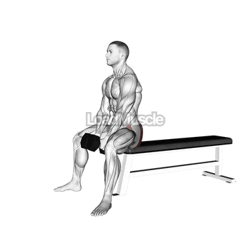 Dumbbell Sitting Good Morning
